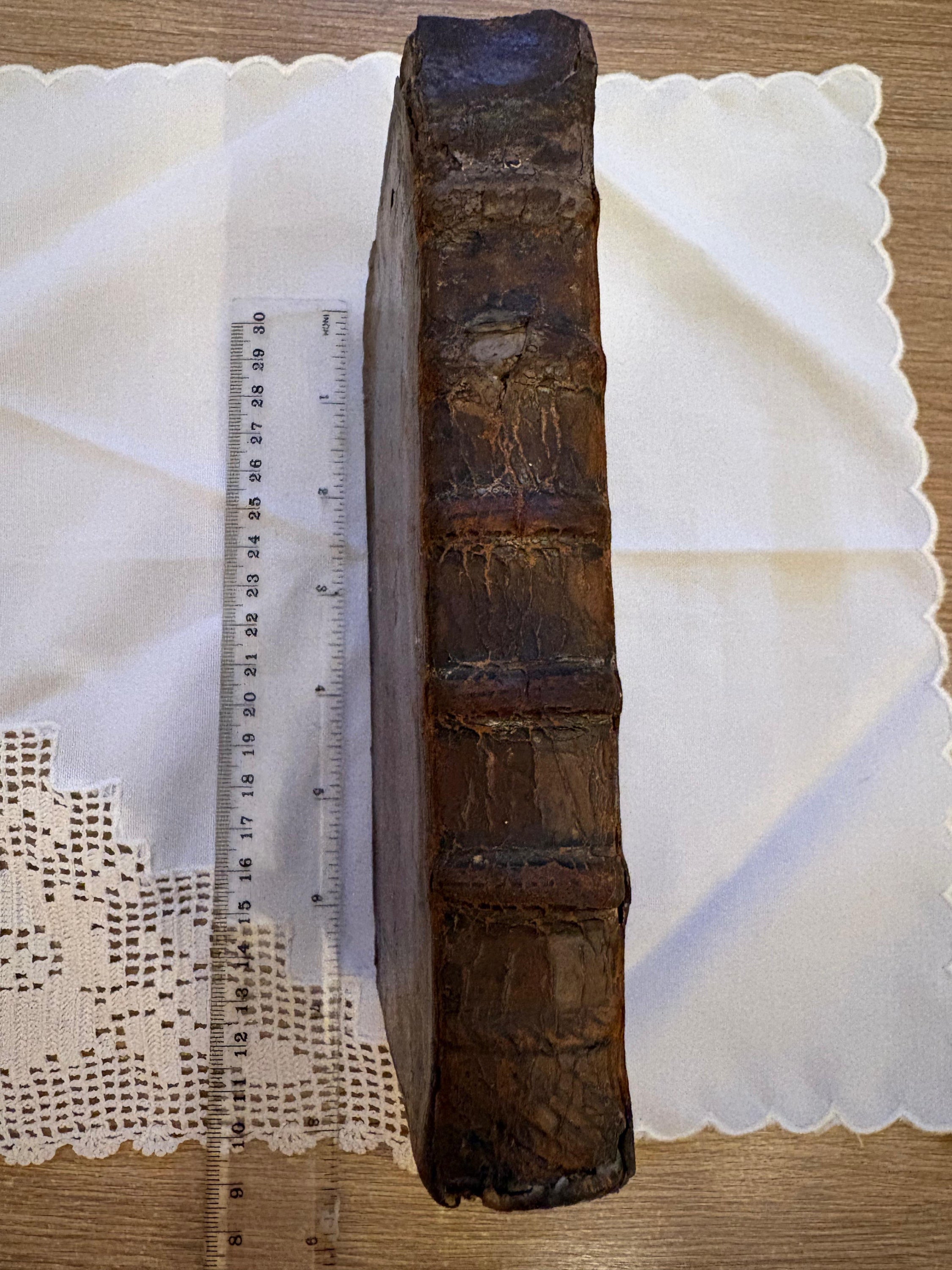 The spine of the calf binding, unlettered, with five raised bands. The leather is chipped and lacking at the head and tail, and shows cracking and surface loss along the joints.